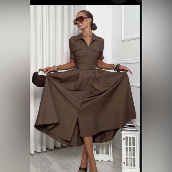 ZARA NEW WOMAN FW25 BELTED ZW COLLECTION POPLIN DRESS BROWN size L - Picture 3 of 4
